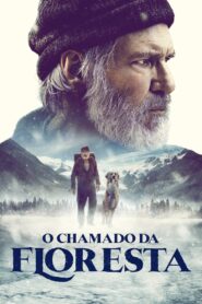 O Chamado da Floresta (2020)