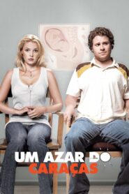 Ligeiramente Grávidos (2007)