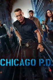 Chicago P.D.: Distrito 21: Temporada 12