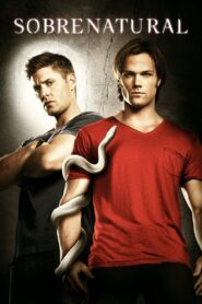 Supernatural: Temporada 6