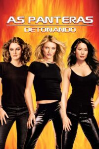 As Panteras: Detonando (2003)
