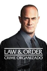 Law & Order: Crime Organizado: Temporada 2