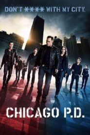 Chicago P.D.: Distrito 21: Temporada 1