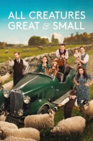All Creatures Great & Small: Temporada 6