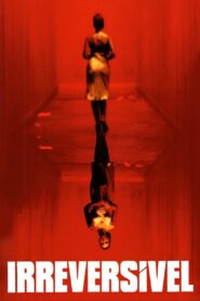 Irreversível (2002)