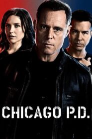 Chicago P.D.: Distrito 21: Temporada 2