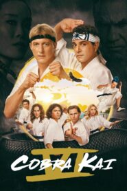Cobra Kai: Temporada 6