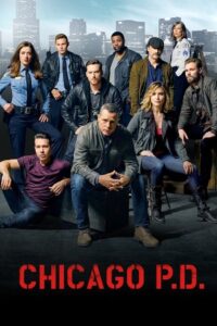 Chicago P.D.: Distrito 21: Temporada 3
