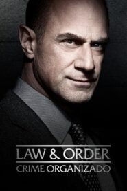 Law & Order: Crime Organizado: Temporada 1