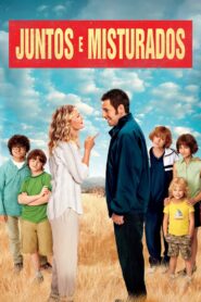 Juntos e Misturados (2014)