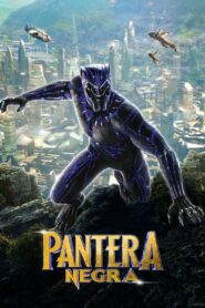 Pantera Negra (2018)