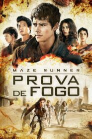 Maze Runner: Prova de Fogo (2015)